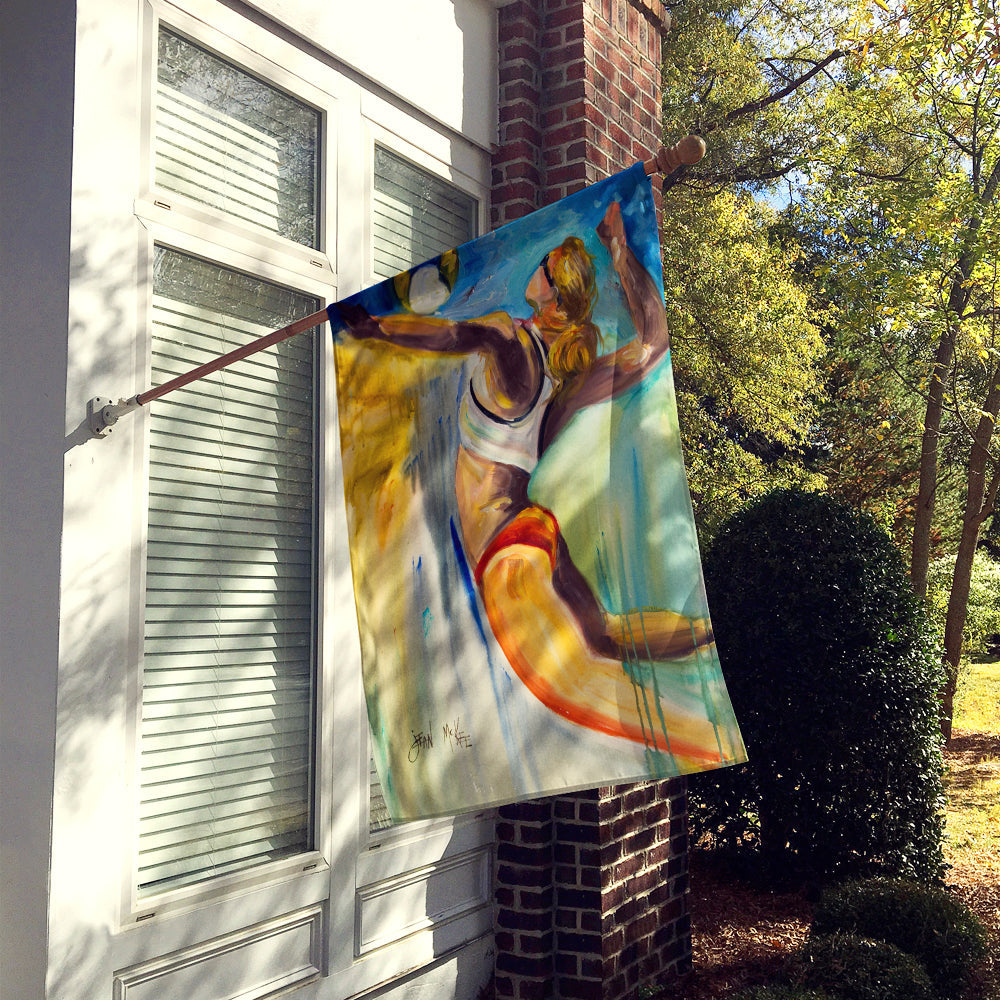 Beach Volleyball House Flag 28x40 Porch Sleeve Pole Decorative Outside Yard Banner Artwork Wall Hanging, Polyester