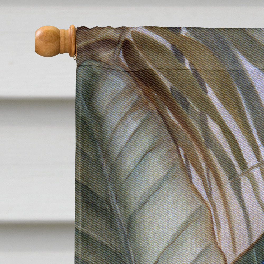 Parrots House Flag 28x40 Porch Sleeve Pole Decorative Outside Yard Banner Artwork Wall Hanging, Polyester