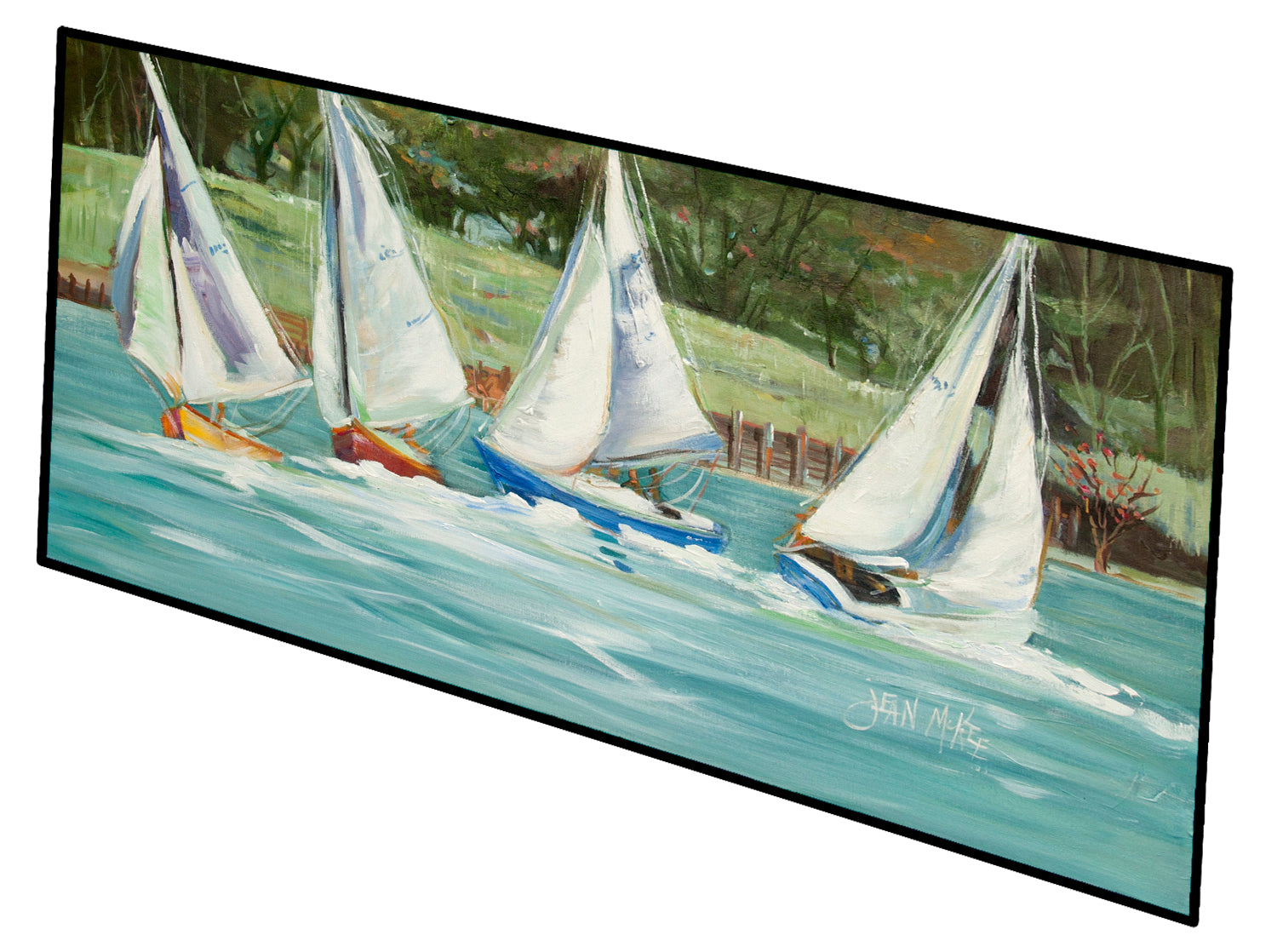 Sailboats on the Bay Runner Mat 28x58 Front Door Mat Indoor Outdoor Rugs for Entryway Hallway Foyer Non Slip Washable Wide Doormat