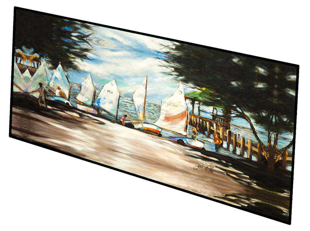 Sailboats Sailing Lessons Runner Mat 28x58 Front Door Mat Indoor Outdoor Rugs for Entryway Hallway Foyer Non Slip Washable Wide Doormat