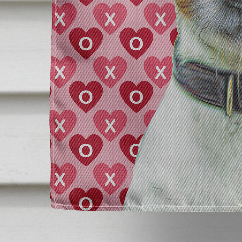 Hearts Love and Valentine's Day Jack Russell Terrier House Flag 28x40 Porch Sleeve Pole Decorative Outside Yard Banner Artwork Wall Hanging, Polyester