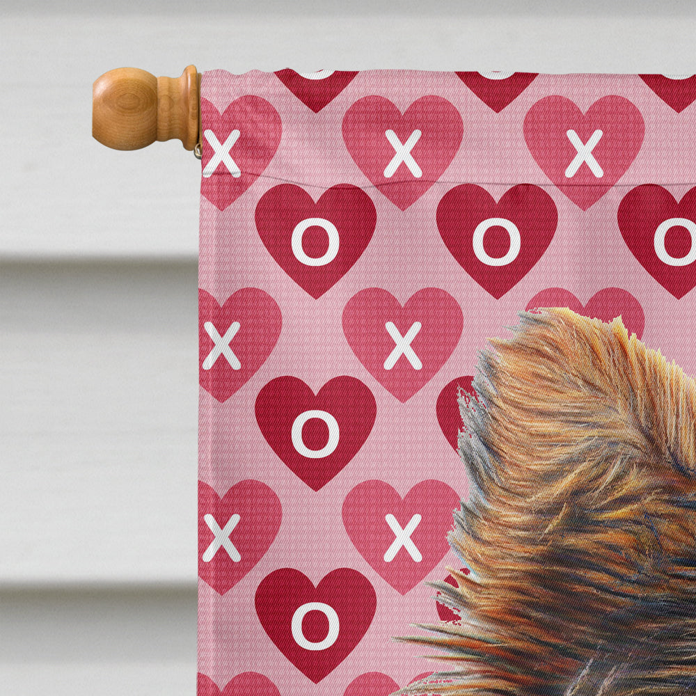 Hearts Love and Valentine's Day Yorkie Puppy / Yorkshire Terrier House Flag 28x40 Porch Sleeve Pole Decorative Outside Yard Banner Artwork Wall Hanging, Polyester
