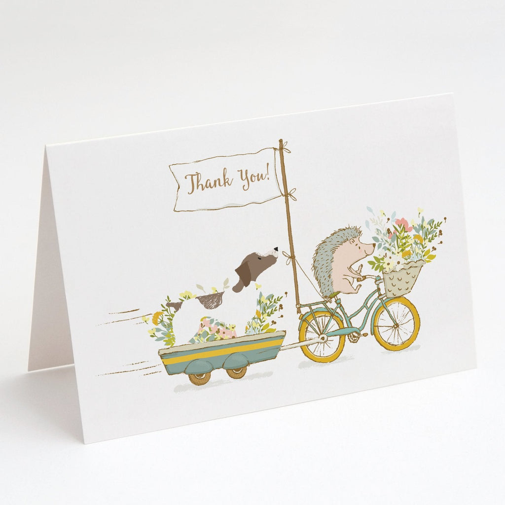 Pointer Greeting Cards Pack of 8 Blank Cards with Envelopes Whimsical A7 Size 5x7