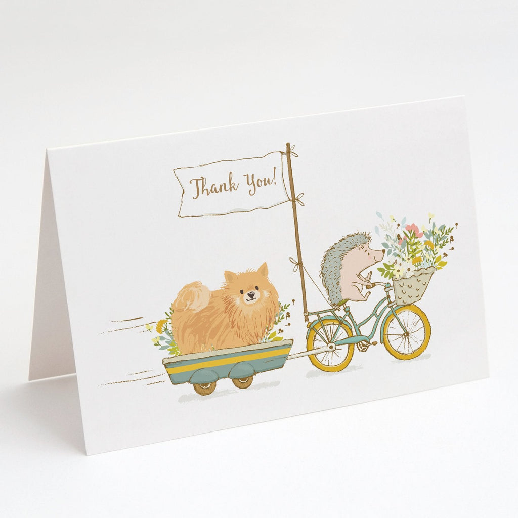 Pomeranian Greeting Cards Pack of 8 Blank Cards with Envelopes Whimsical A7 Size 5x7