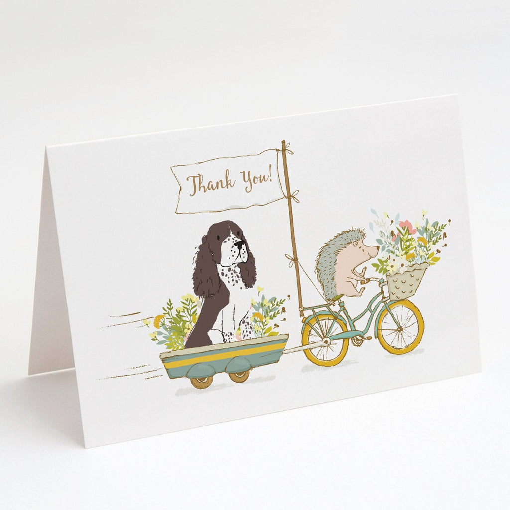 Springer Spaniel Brown Greeting Cards Pack of 8 Blank Cards with Envelopes Whimsical A7 Size 5x7