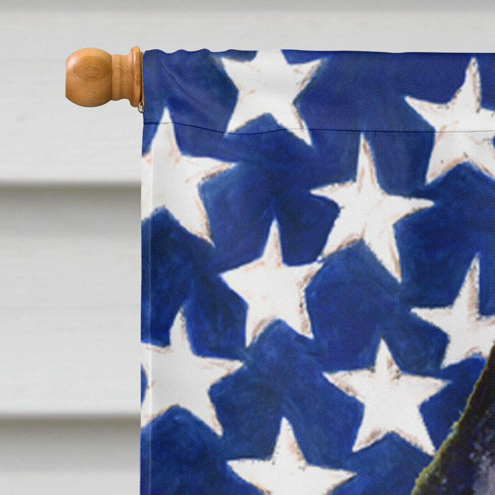 USA American Flag with Schipperke House Flag 28x40 Porch Sleeve Pole Decorative Outside Yard Banner Artwork Wall Hanging, Polyester