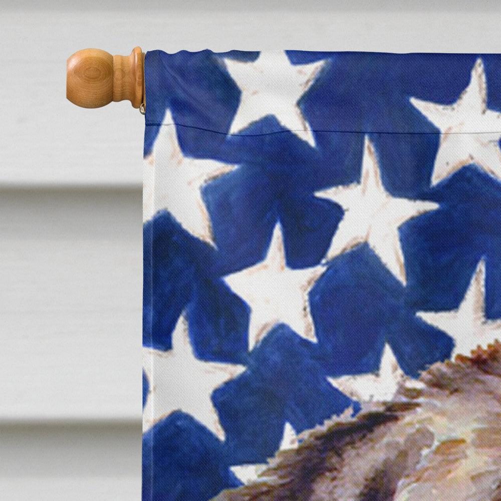 USA American Flag with Newfoundland House Flag 28x40 Porch Sleeve Pole Decorative Outside Yard Banner Artwork Wall Hanging, Polyester