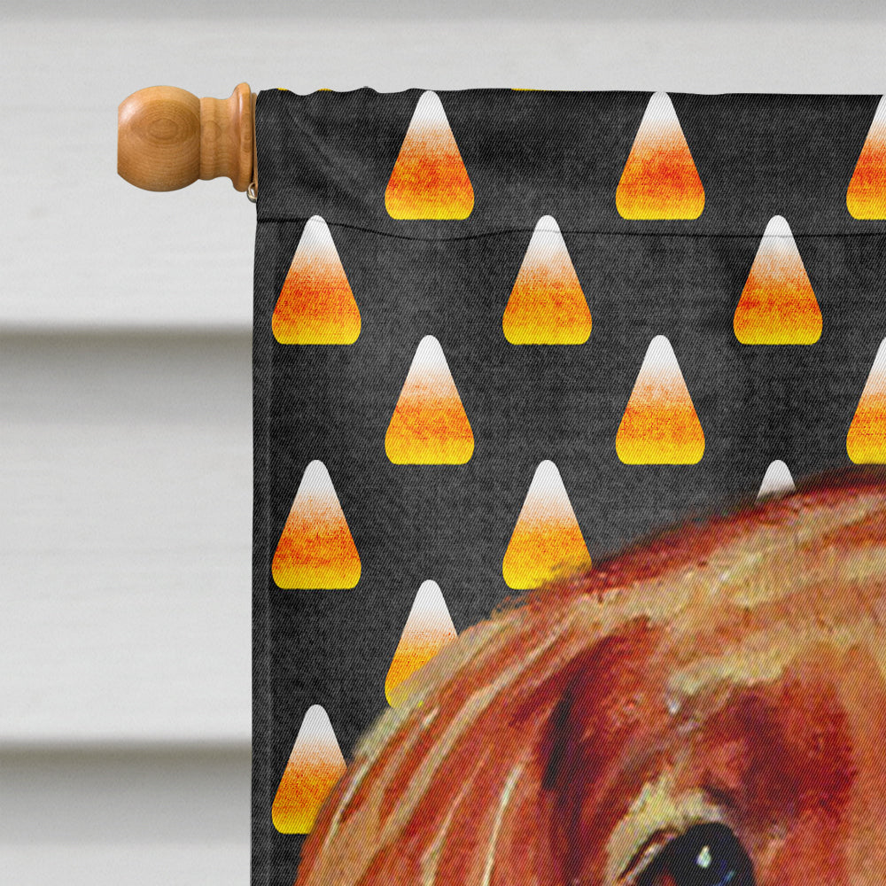 Irish Setter Candy Corn Halloween Portrait House Flag 28x40 Porch Sleeve Pole Decorative Outside Yard Banner Artwork Wall Hanging, Polyester