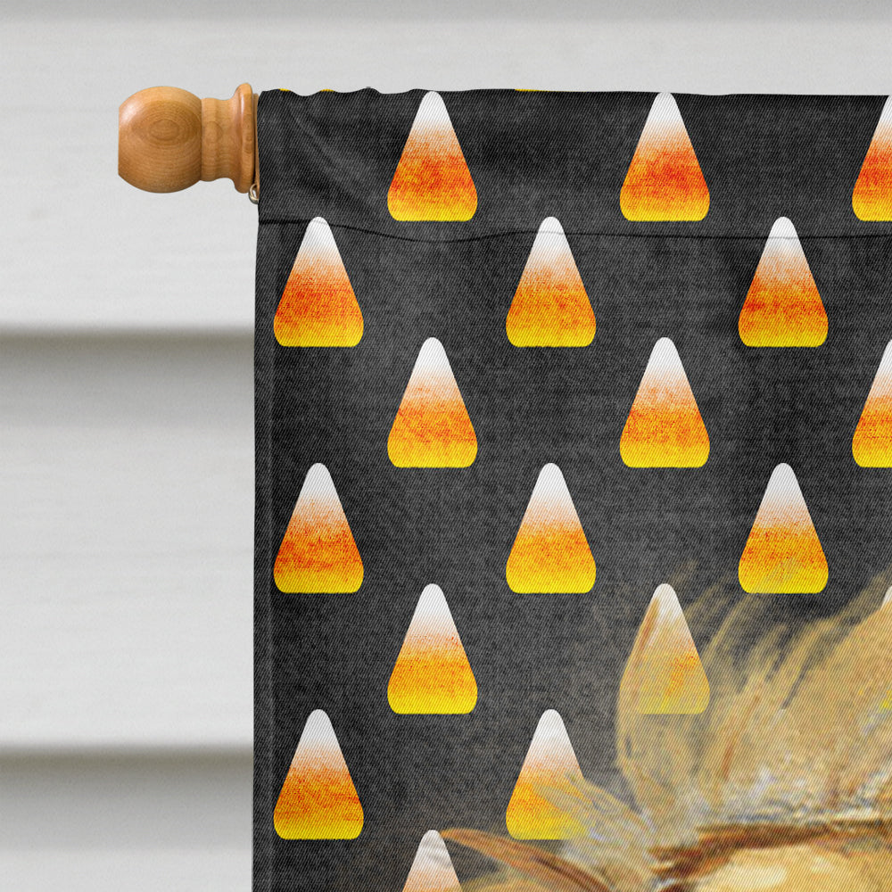 Tibetan Spaniel Candy Corn Halloween Portrait House Flag 28x40 Porch Sleeve Pole Decorative Outside Yard Banner Artwork Wall Hanging, Polyester