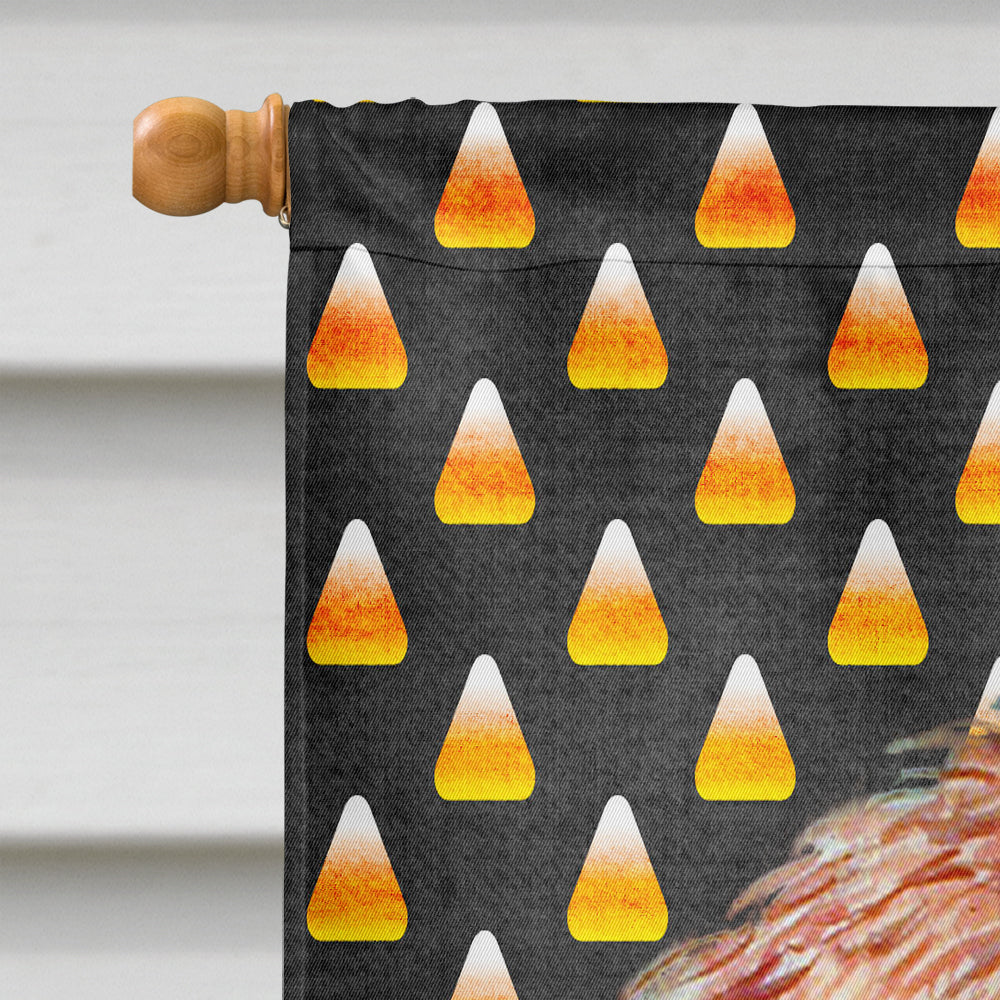 Petit Basset Griffon Vendeen Candy Corn Halloween Portrait House Flag 28x40 Porch Sleeve Pole Decorative Outside Yard Banner Artwork Wall Hanging, Polyester