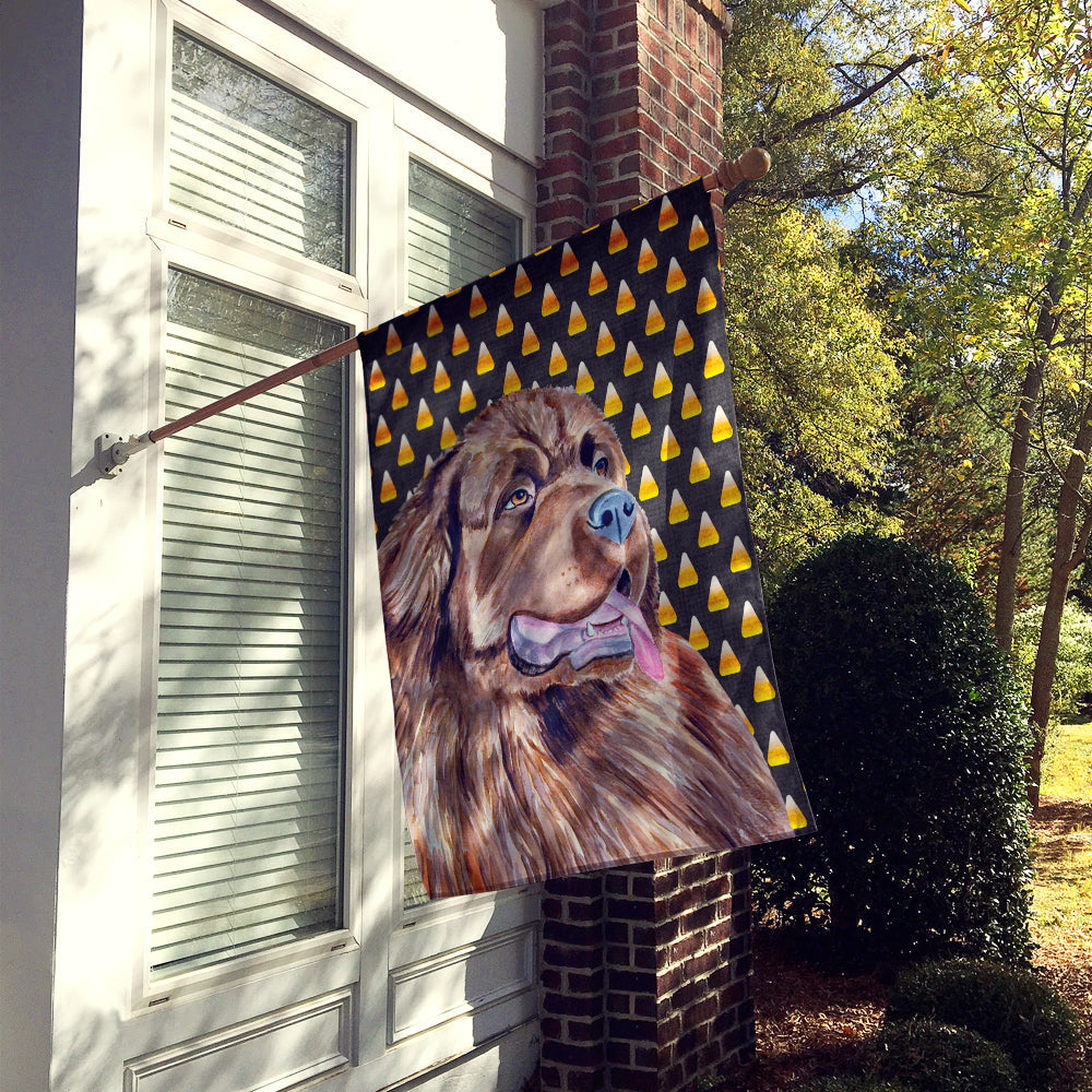 Newfoundland Candy Corn Halloween Portrait House Flag 28x40 Porch Sleeve Pole Decorative Outside Yard Banner Artwork Wall Hanging, Polyester