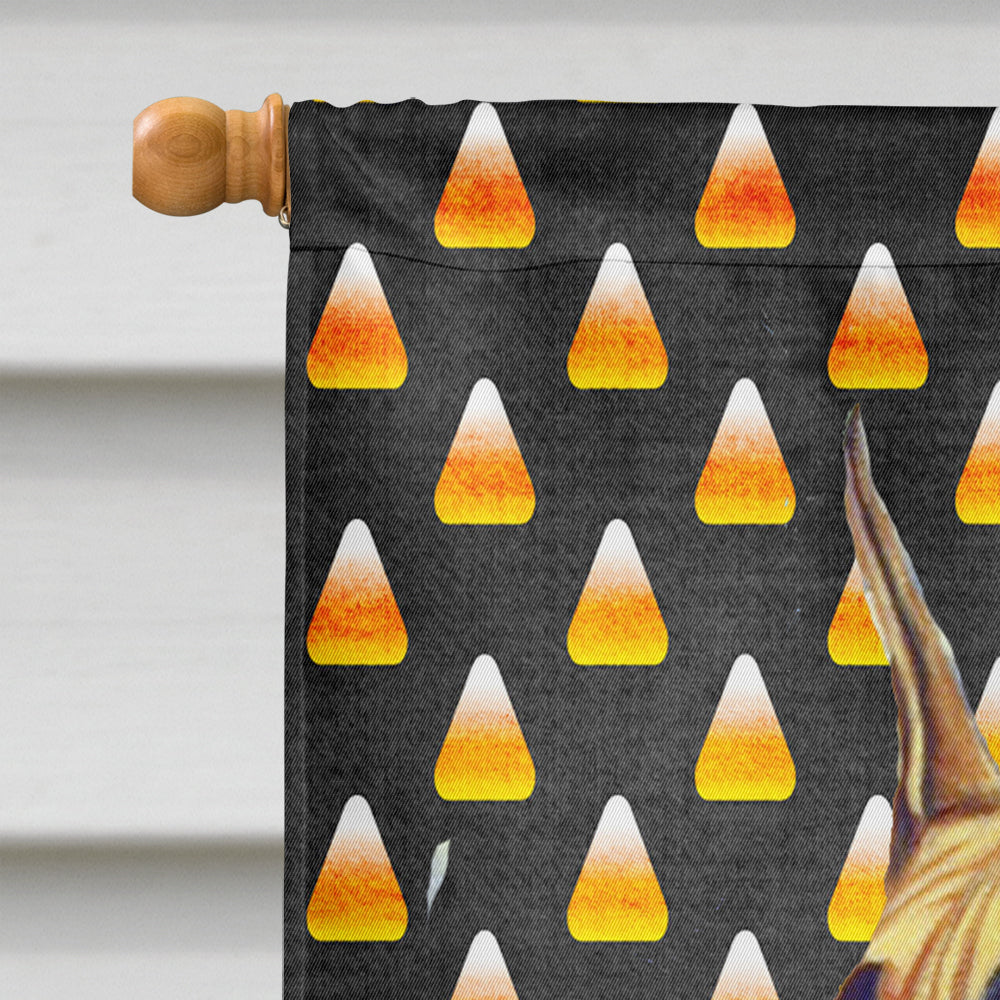 Great Dane Candy Corn Halloween Portrait House Flag 28x40 Porch Sleeve Pole Decorative Outside Yard Banner Artwork Wall Hanging, Polyester
