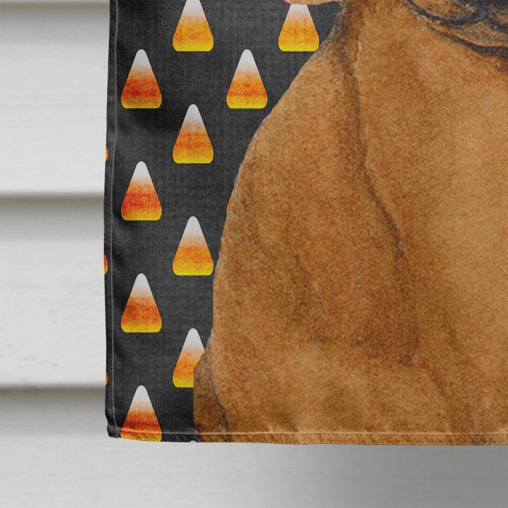 Dachshund Candy Corn Halloween Portrait House Flag 28x40 Porch Sleeve Pole Decorative Outside Yard Banner Artwork Wall Hanging, Polyester