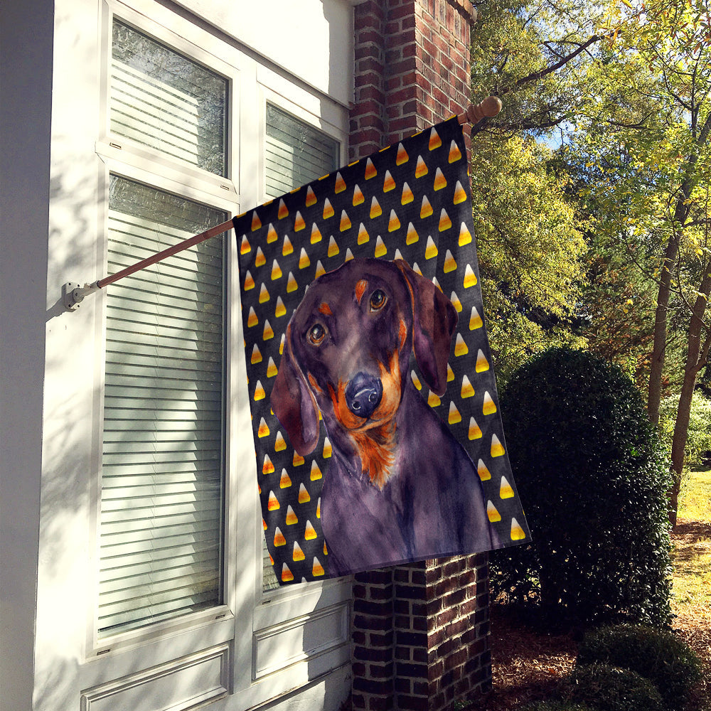 Dachshund Candy Corn Halloween Portrait House Flag 28x40 Porch Sleeve Pole Decorative Outside Yard Banner Artwork Wall Hanging, Polyester