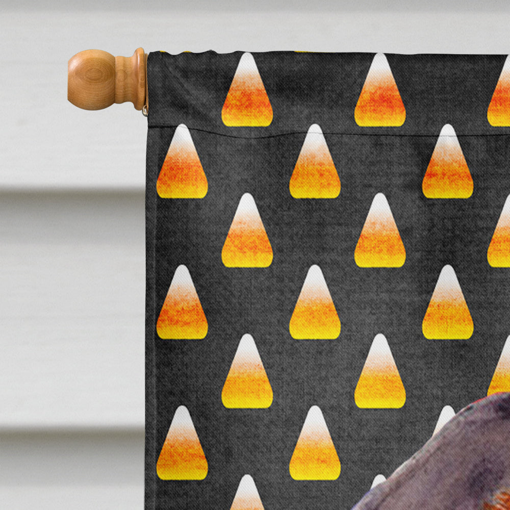 Dachshund Candy Corn Halloween Portrait House Flag 28x40 Porch Sleeve Pole Decorative Outside Yard Banner Artwork Wall Hanging, Polyester