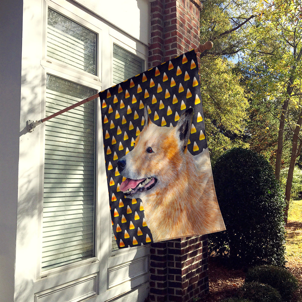 Australian Cattle Dog Candy Corn Halloween Portrait House Flag 28x40 Porch Sleeve Pole Decorative Outside Yard Banner Artwork Wall Hanging, Polyester