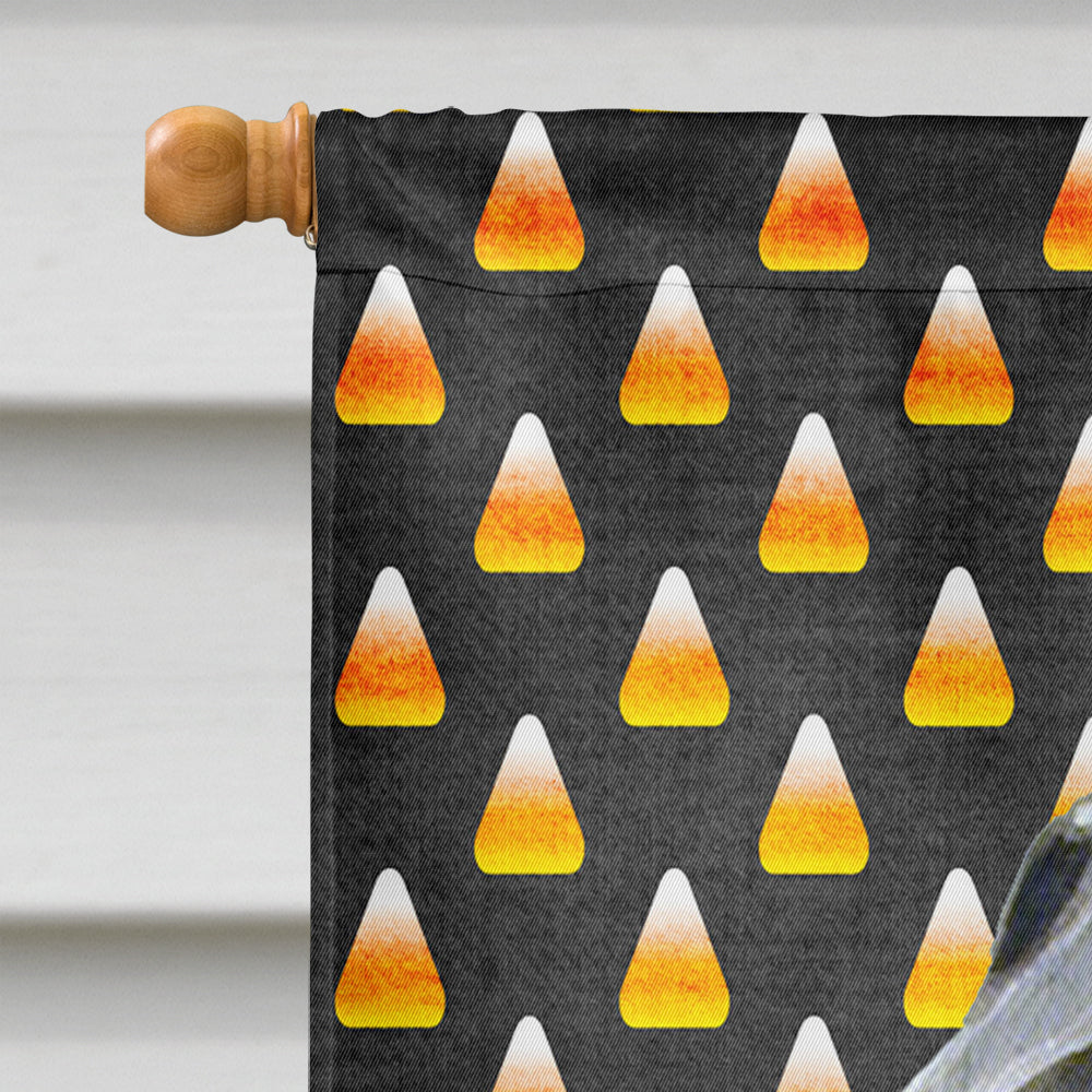 Flat Coated Retriever Candy Corn Halloween Portrait House Flag 28x40 Porch Sleeve Pole Decorative Outside Yard Banner Artwork Wall Hanging, Polyester