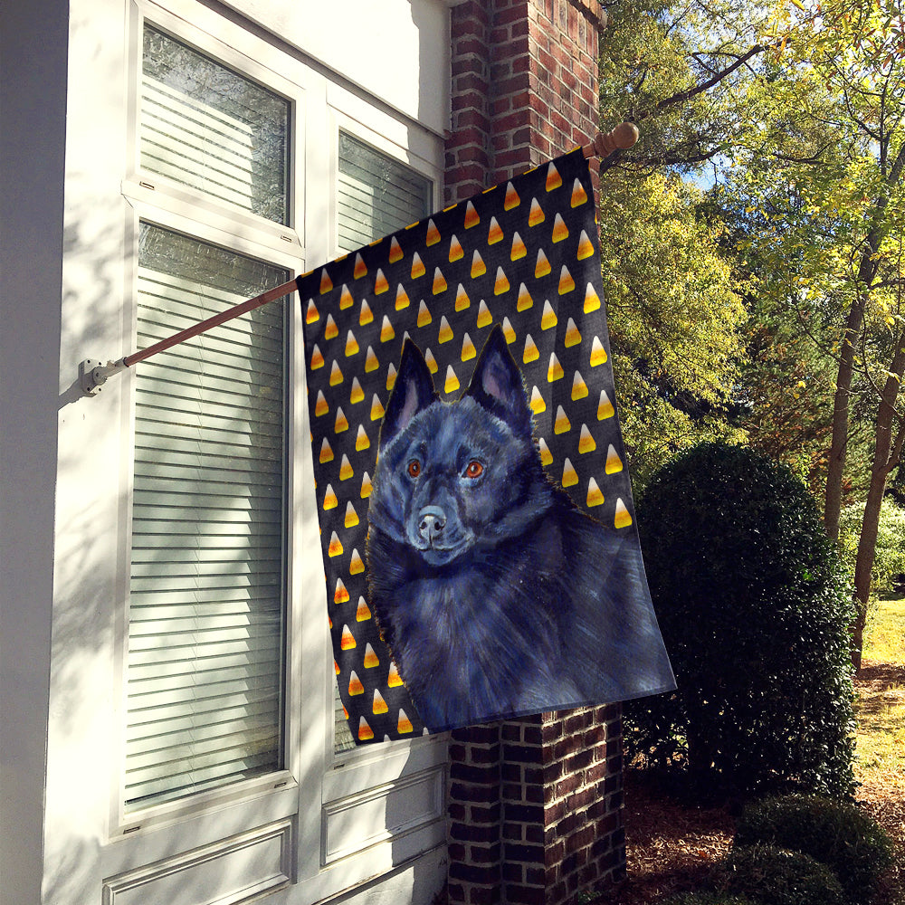 Schipperke Candy Corn Halloween Portrait House Flag 28x40 Porch Sleeve Pole Decorative Outside Yard Banner Artwork Wall Hanging, Polyester