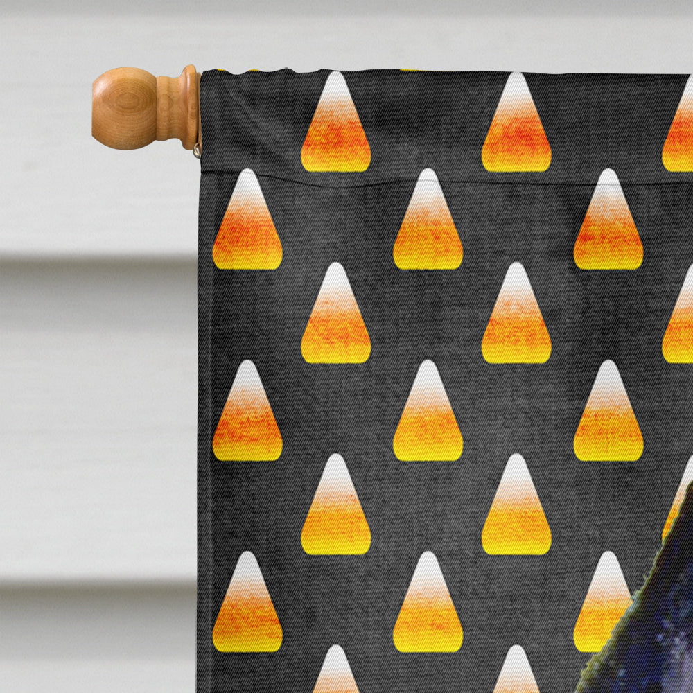 Schipperke Candy Corn Halloween Portrait House Flag 28x40 Porch Sleeve Pole Decorative Outside Yard Banner Artwork Wall Hanging, Polyester