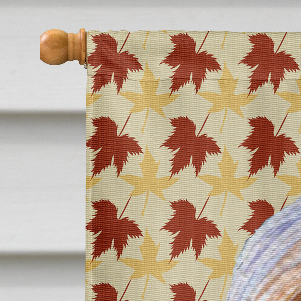 Bearded Collie Fall Leaves Portrait House Flag 28x40 Porch Sleeve Pole Decorative Outside Yard Banner Artwork Wall Hanging, Polyester