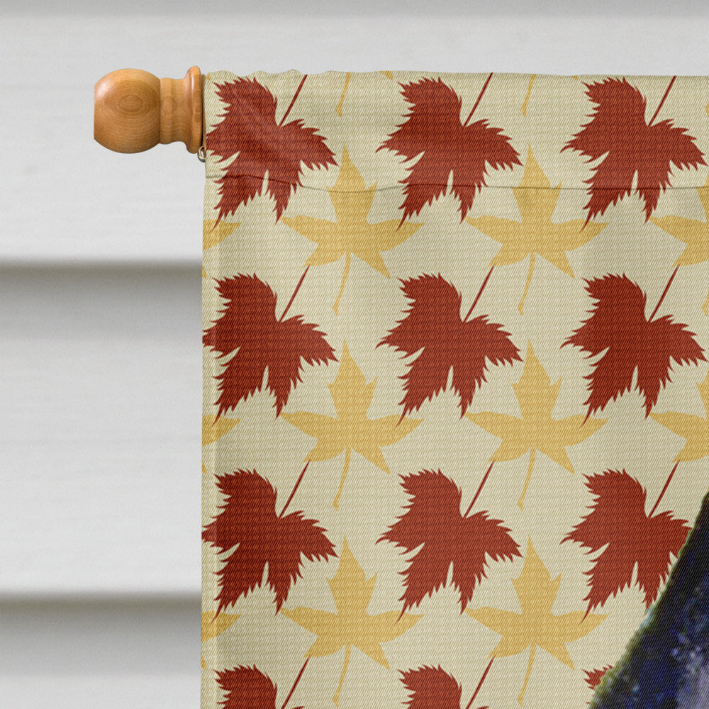 Schipperke Fall Leaves Portrait House Flag 28x40 Porch Sleeve Pole Decorative Outside Yard Banner Artwork Wall Hanging, Polyester