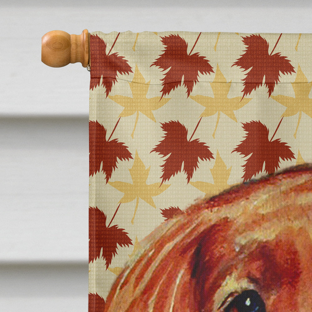 Irish Setter Fall Leaves Portrait House Flag 28x40 Porch Sleeve Pole Decorative Outside Yard Banner Artwork Wall Hanging, Polyester