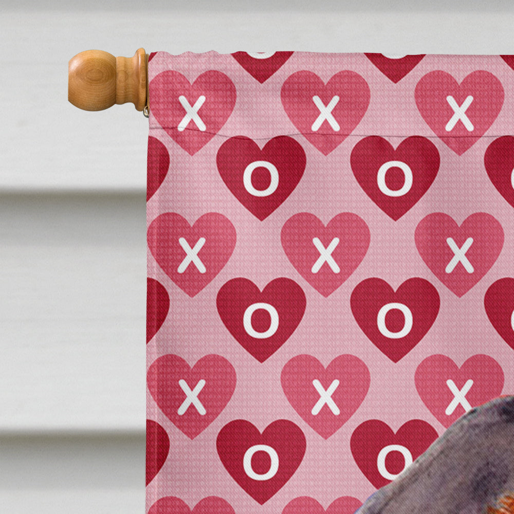 Dachshund Hearts Love and Valentine's Day Portrait House Flag 28x40 Porch Sleeve Pole Decorative Outside Yard Banner Artwork Wall Hanging, Polyester