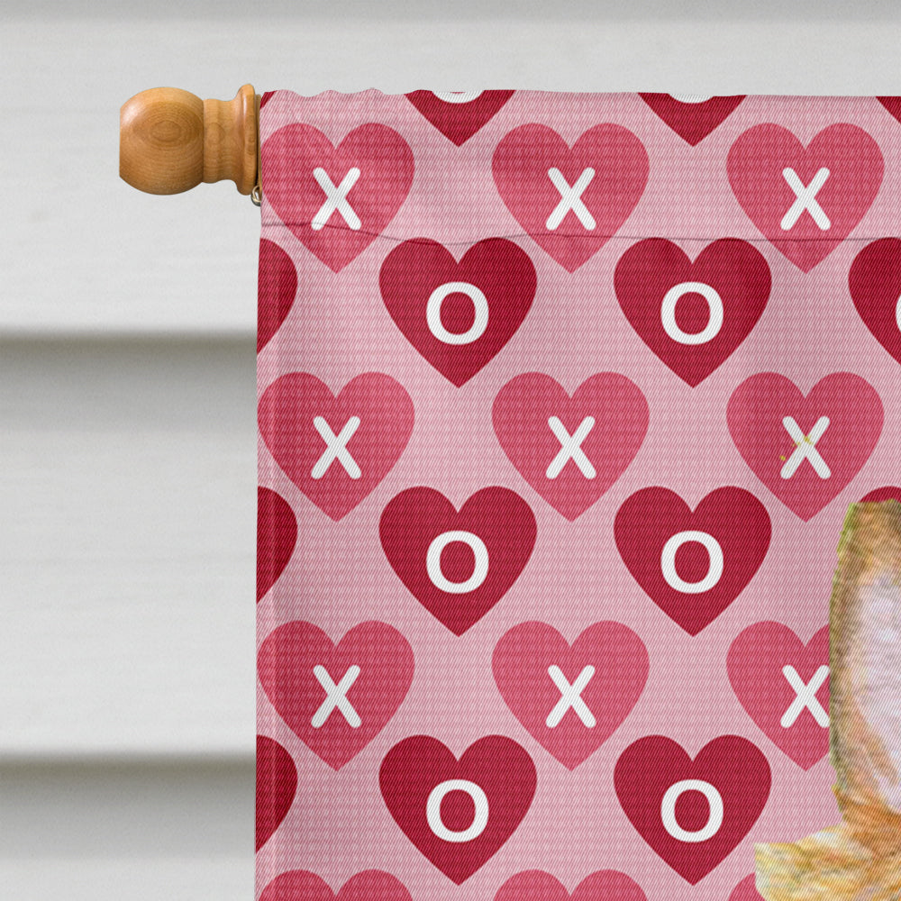 Silky Terrier Hearts Love and Valentine's Day Portrait House Flag 28x40 Porch Sleeve Pole Decorative Outside Yard Banner Artwork Wall Hanging, Polyester