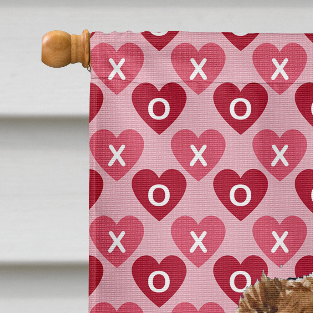 Australian Shepherd Hearts Love Valentine's Day House Flag 28x40 Porch Sleeve Pole Decorative Outside Yard Banner Artwork Wall Hanging, Polyester