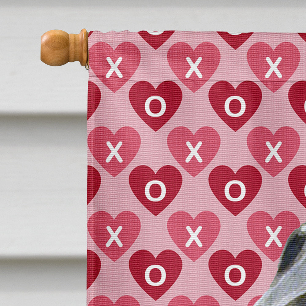Flat Coated Retriever Hearts Love and Valentine's Day Portrait House Flag 28x40 Porch Sleeve Pole Decorative Outside Yard Banner Artwork Wall Hanging, Polyester