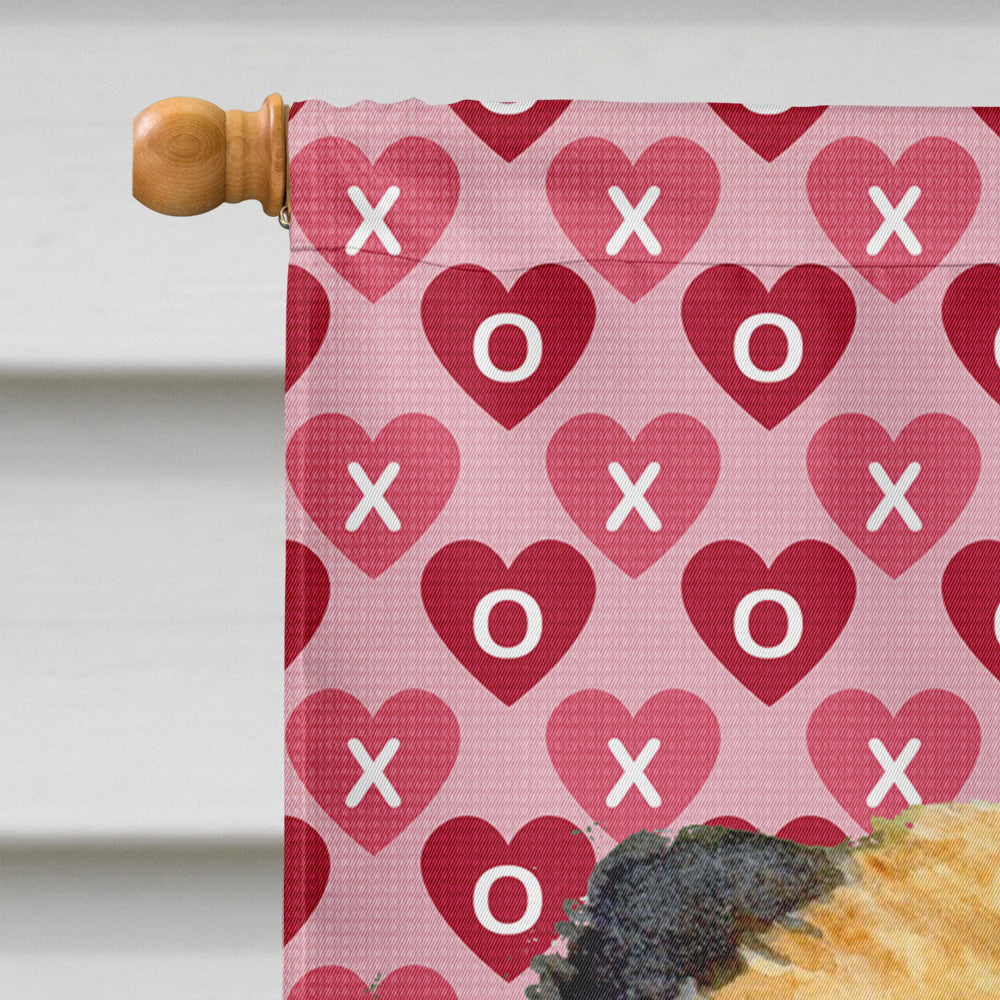 Border Terrier Hearts Love and Valentine's Day Portrait House Flag 28x40 Porch Sleeve Pole Decorative Outside Yard Banner Artwork Wall Hanging, Polyester