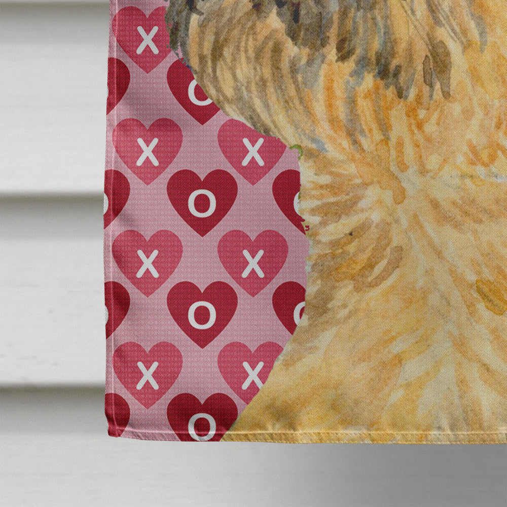 Border Terrier Hearts Love and Valentine's Day Portrait House Flag 28x40 Porch Sleeve Pole Decorative Outside Yard Banner Artwork Wall Hanging, Polyester