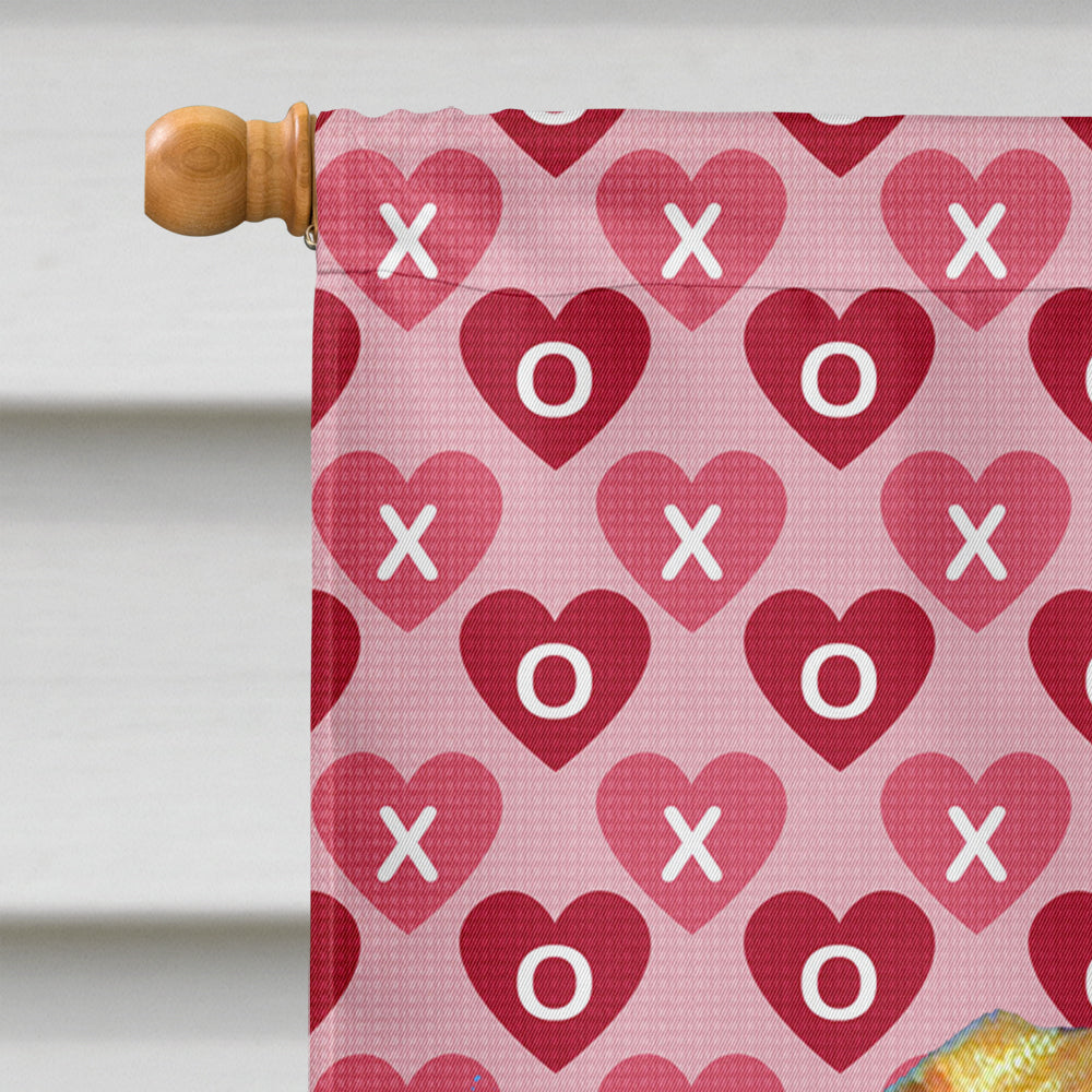 Vizsla Hearts Love and Valentine's Day Portrait House Flag 28x40 Porch Sleeve Pole Decorative Outside Yard Banner Artwork Wall Hanging, Polyester