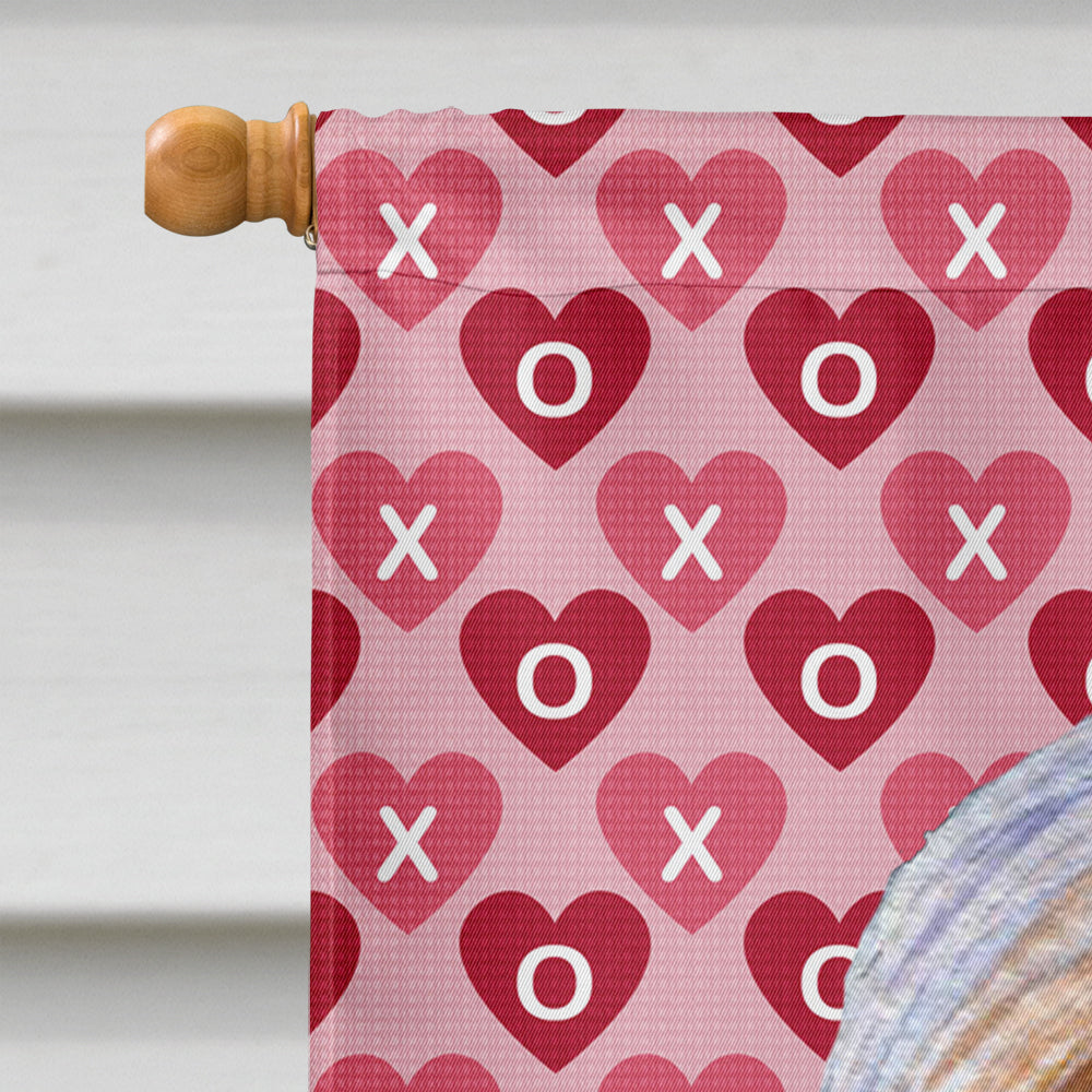 Bearded Collie Hearts Love and Valentine's Day Portrait House Flag 28x40 Porch Sleeve Pole Decorative Outside Yard Banner Artwork Wall Hanging, Polyester