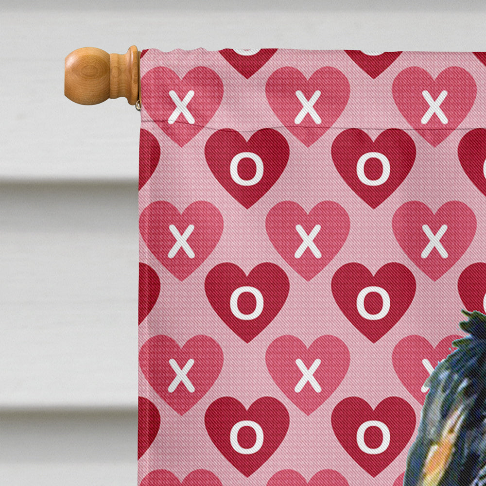 Bernese Mountain Dog Hearts Love and Valentine's Day Portrait House Flag 28x40 Porch Sleeve Pole Decorative Outside Yard Banner Artwork Wall Hanging, Polyester