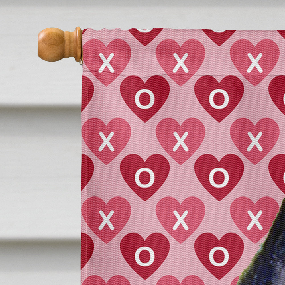 Schipperke Hearts Love and Valentine's Day Portrait House Flag 28x40 Porch Sleeve Pole Decorative Outside Yard Banner Artwork Wall Hanging, Polyester