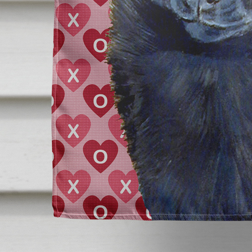 Schipperke Hearts Love and Valentine's Day Portrait House Flag 28x40 Porch Sleeve Pole Decorative Outside Yard Banner Artwork Wall Hanging, Polyester