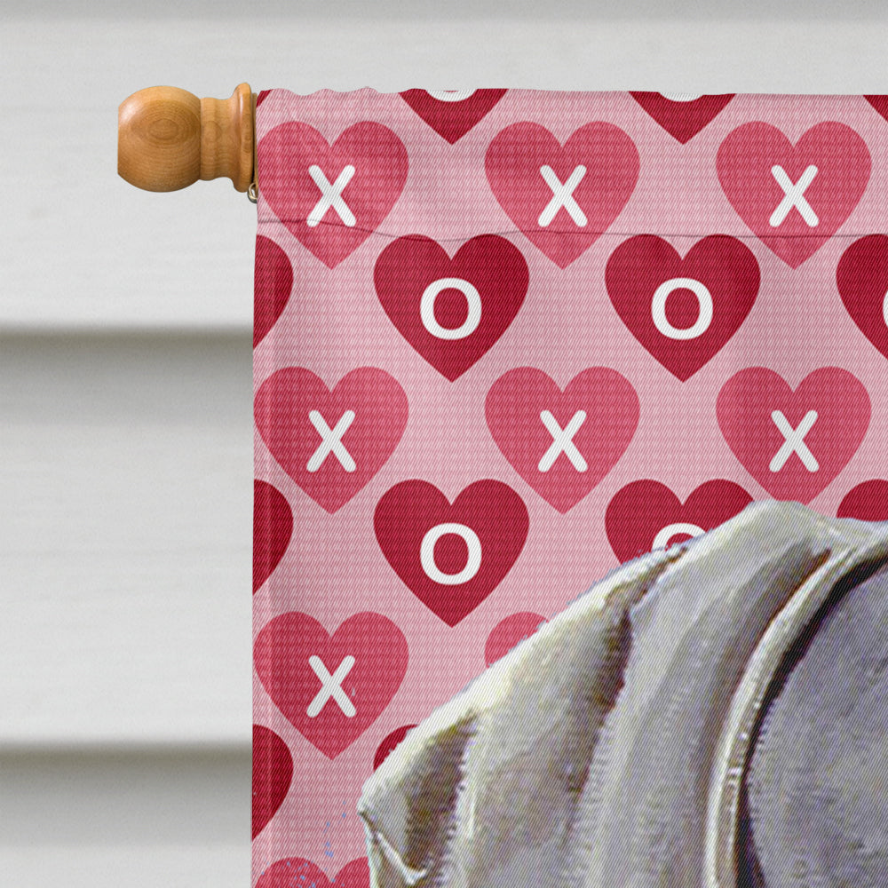 Weimaraner Hearts Love and Valentine's Day Portrait House Flag 28x40 Porch Sleeve Pole Decorative Outside Yard Banner Artwork Wall Hanging, Polyester