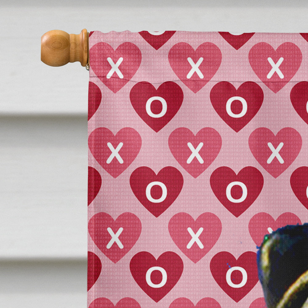 Pug Hearts Love and Valentine's Day Portrait House Flag 28x40 Porch Sleeve Pole Decorative Outside Yard Banner Artwork Wall Hanging, Polyester