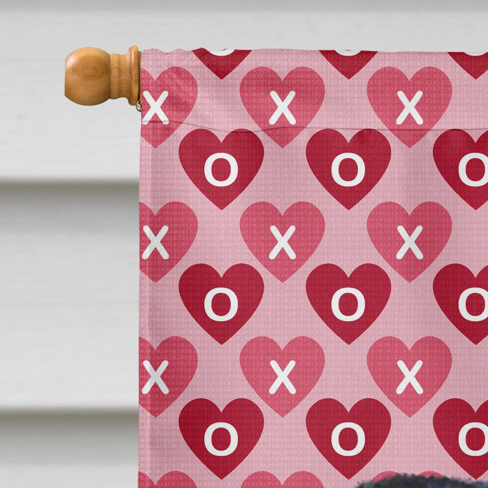Brussels Griffon Hearts Love and Valentine's Day Portrait House Flag 28x40 Porch Sleeve Pole Decorative Outside Yard Banner Artwork Wall Hanging, Polyester
