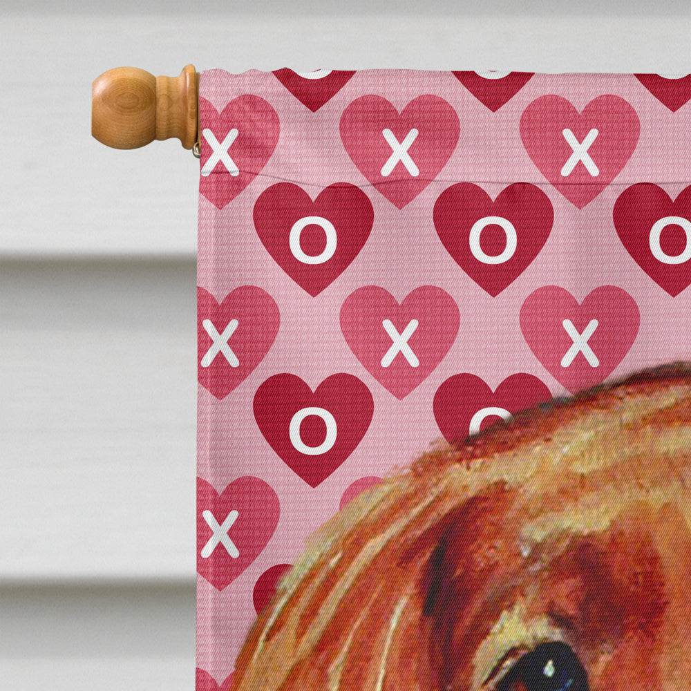 Irish Setter Hearts Love and Valentine's Day Portrait House Flag 28x40 Porch Sleeve Pole Decorative Outside Yard Banner Artwork Wall Hanging, Polyester