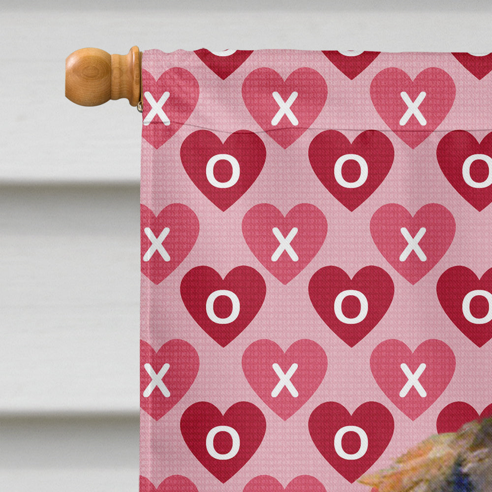 Dachshund Hearts Love and Valentine's Day Portrait House Flag 28x40 Porch Sleeve Pole Decorative Outside Yard Banner Artwork Wall Hanging, Polyester