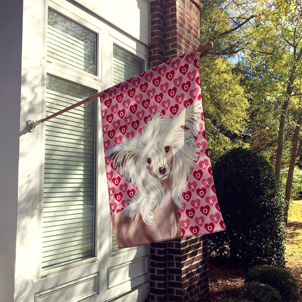 Chinese Crested Hearts Love and Valentine's Day Portrait House Flag 28x40 Porch Sleeve Pole Decorative Outside Yard Banner Artwork Wall Hanging, Polyester