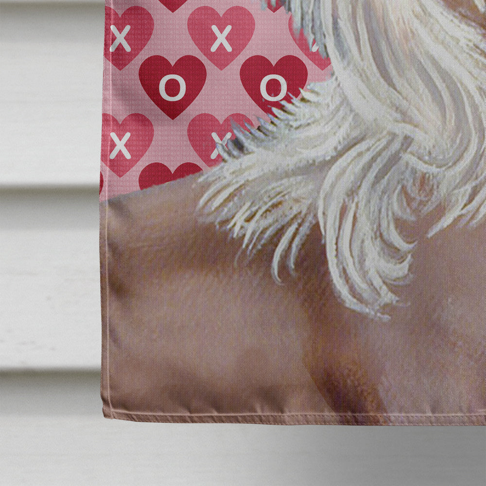 Chinese Crested Hearts Love and Valentine's Day Portrait House Flag 28x40 Porch Sleeve Pole Decorative Outside Yard Banner Artwork Wall Hanging, Polyester