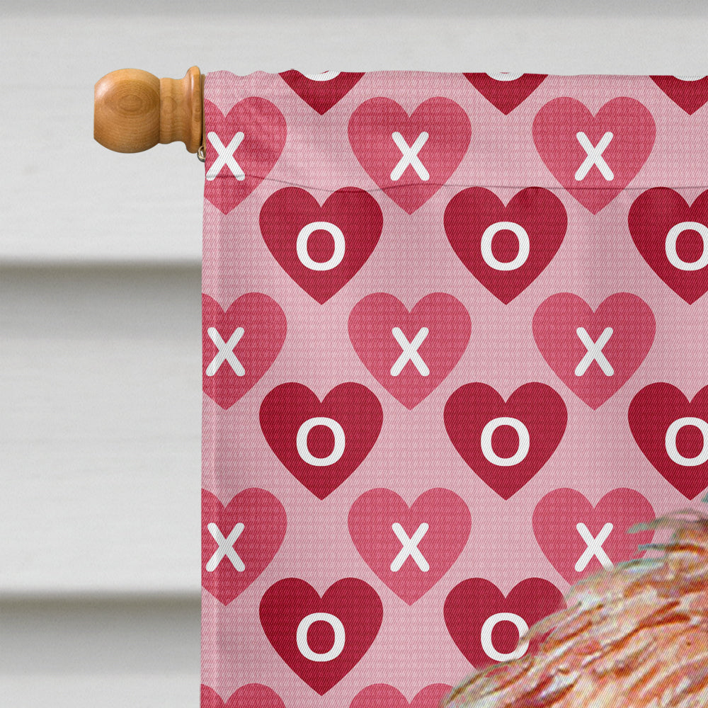 Petit Basset Griffon Vendeen Hearts Love Valentine's Day House Flag 28x40 Porch Sleeve Pole Decorative Outside Yard Banner Artwork Wall Hanging, Polyester