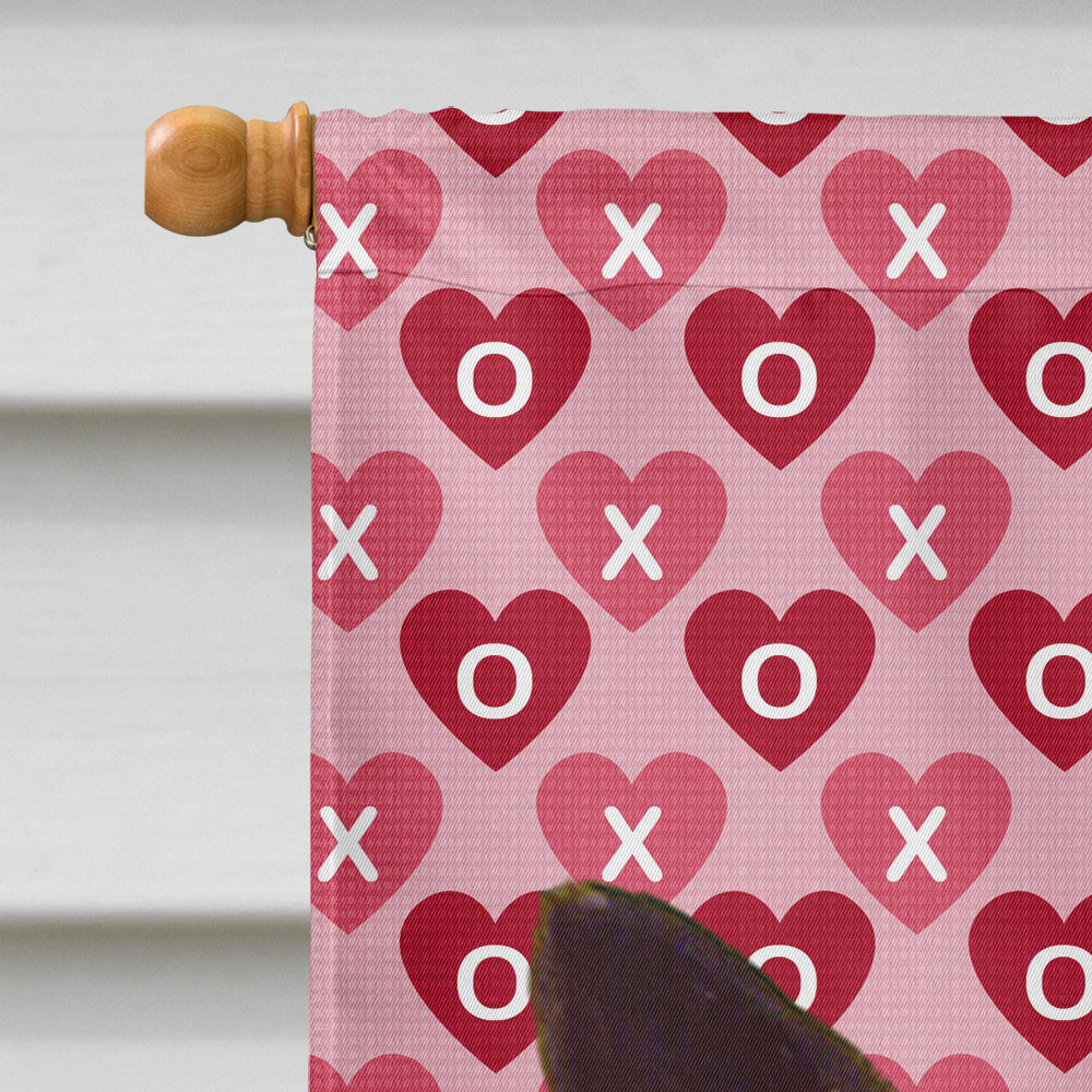 Norwegian Elkhound Hearts Love and Valentine's Day Portrait House Flag 28x40 Porch Sleeve Pole Decorative Outside Yard Banner Artwork Wall Hanging, Polyester
