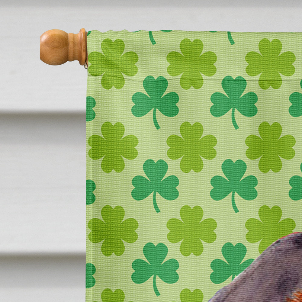 Dachshund St. Patrick's Day Shamrock Portrait House Flag 28x40 Porch Sleeve Pole Decorative Outside Yard Banner Artwork Wall Hanging, Polyester