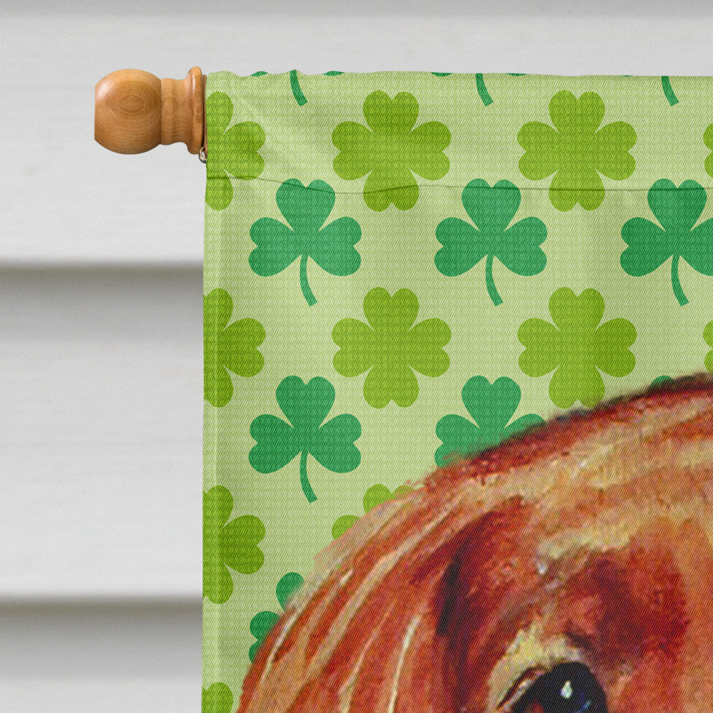 Irish Setter St. Patrick's Day Shamrock Portrait House Flag 28x40 Porch Sleeve Pole Decorative Outside Yard Banner Artwork Wall Hanging, Polyester