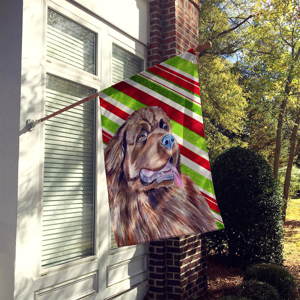 Newfoundland Candy Cane Holiday Christmas House Flag 28x40 Porch Sleeve Pole Decorative Outside Yard Banner Artwork Wall Hanging, Polyester