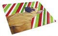 Great Dane Candy Cane Holiday Christmas Cutting Board Tempered Glass Kitchen Cutting Surface, Heat Resistant Chopping, Non-Slip Feet, Food Prep & Serving